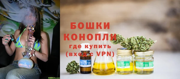 прущие грибы Покров
