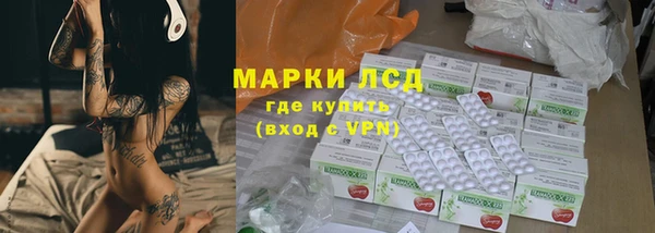 стаф Покачи
