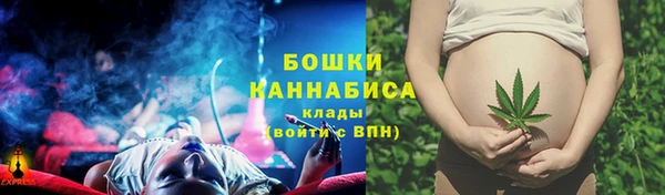 сатива Абдулино
