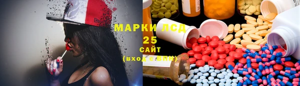 прущие грибы Покров