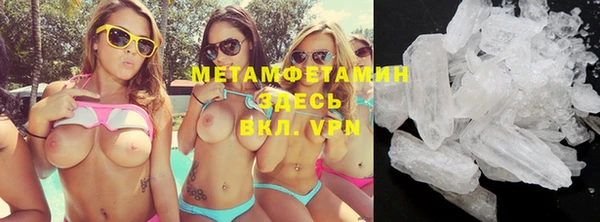 прущие грибы Покров