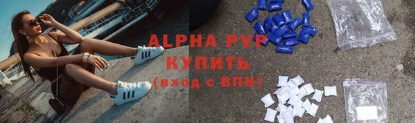 прущие грибы Покров