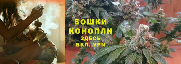 стаф Покачи